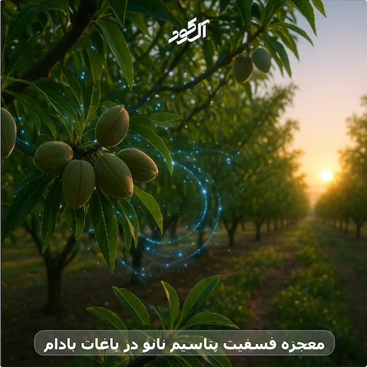 معجزه فسفیت پتاسیم نانو در باغات بادام