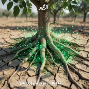 تغذیه بادام با نیتروژن نانو