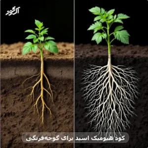 کود هیومیک اسید برای گوجه‌فرنگی