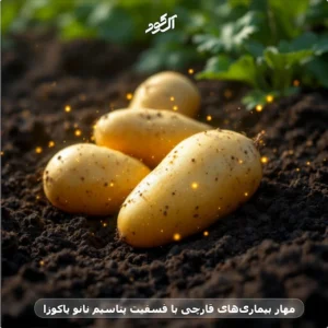 مهار بیماری‌های قارچی با فسفیت پتاسیم نانو یاکوزا