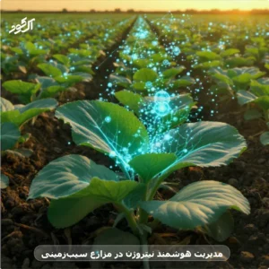 مدیریت هوشمند نیتروژن در مزارع سیب‌زمینی