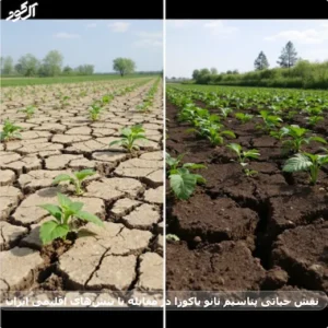 نقش حیاتی پتاسیم نانو یاکوزا در مقابله با تنش‌های اقلیمی ایران