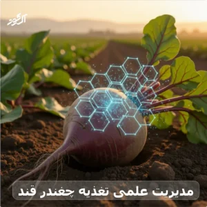مدیریت علمی تغذیه چغندر قند
