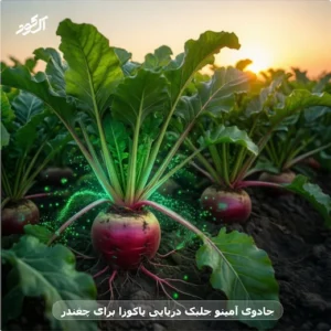 جادوی آمینو جلبک دریایی یاکوزا برای چغندر