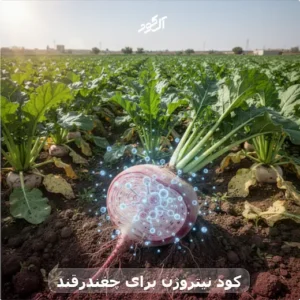 کود نیتروژن برای چغندرقند