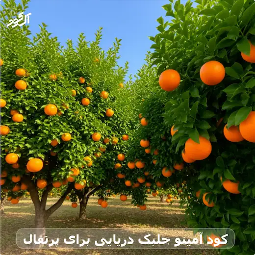 کود آمینو جلبک دریایی برای پرتقال