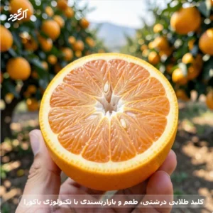 کلید طلایی درشتی، طعم و بازارپسندی با تکنولوژی یاکوزا