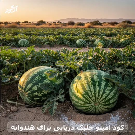 کود آمینو جلبک دریایی برای هندوانه