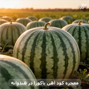 معجزه کود آهن یاکوزا در هندوانه