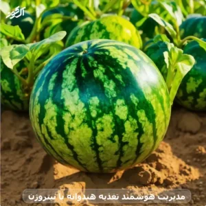 مدیریت هوشمند تغدیه هندوانه با نیتروژن