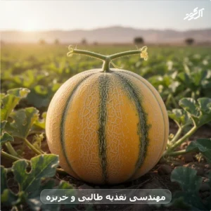 مهندسی تغذیه طالبی و خربزه