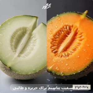 معجزه فسفیت پتاسیم برای خربزه و طالبی