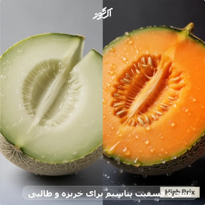 معجزه فسفیت پتاسیم برای خربزه و طالبی