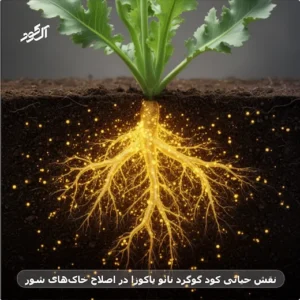 نقش حیاتی کود گوگرد نانو یاکوزا در اصلاح خاک‌های شور