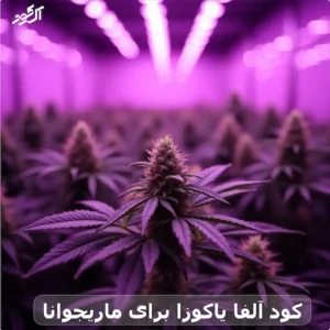کود آلفا یاکوزا برای ماریجوانا