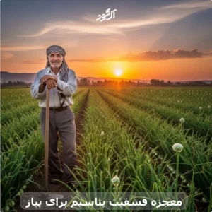 معجزه فسفیت پتاسیم برای پیاز