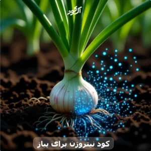 کود نیتروژن برای پیاز
