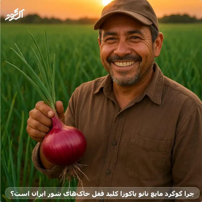 چرا گوگرد مایع نانو یاکوزا کلید قفل خاک‌های شور ایران است؟