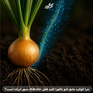 چرا گوگرد مایع نانو یاکوزا کلید قفل خاکهای شور ایران است؟