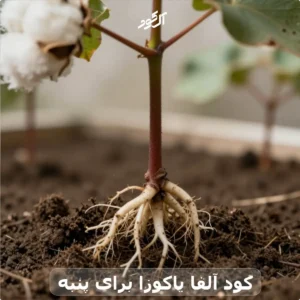 کود آلفا یاکوزا برای پنبه