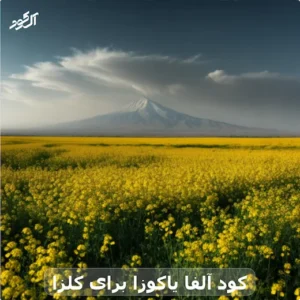 کود آلفا یاکوزا برای کلزا