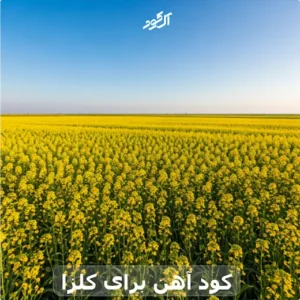 کود آهن برای کلزا