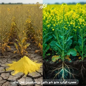 معجزه گوگرد مایع نانو یاکوزا در شکستن قفل خاک