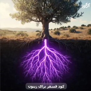 کود فسفر برای زیتون