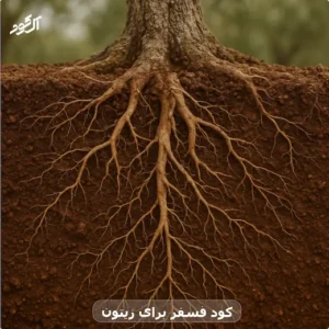 کود فسفر برای زیتون