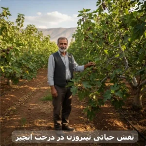 نقش حیاتی نیتروژن در درخت انجیر