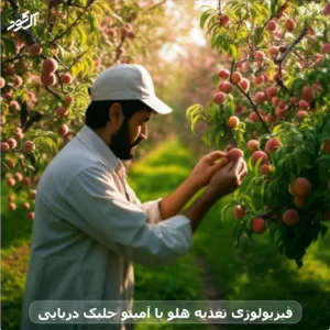 فیزیولوژی تغذیه هلو با آمینو جلبک دریایی