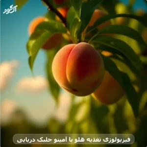 فیزیولوژی تغذیه هلو با آمینو جلبک دریایی