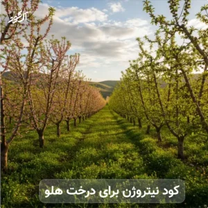 کود نیتروژن برای درخت هلو