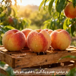 راز درشتی، طعم و رنگگیری با فناوری نانو یاکوزا