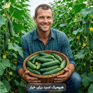 هیومیک اسید برای خیار